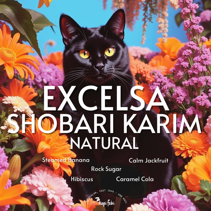 

Excelsa Species I Kopi Febi I Indonesia Specialty Coffee Filter - 100 gr