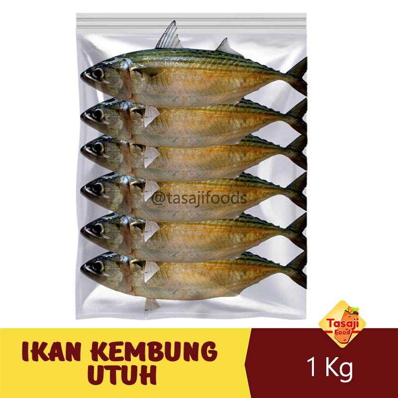 

Ikan Kembung Utuh 1 Kg Frozen Ikan Laut