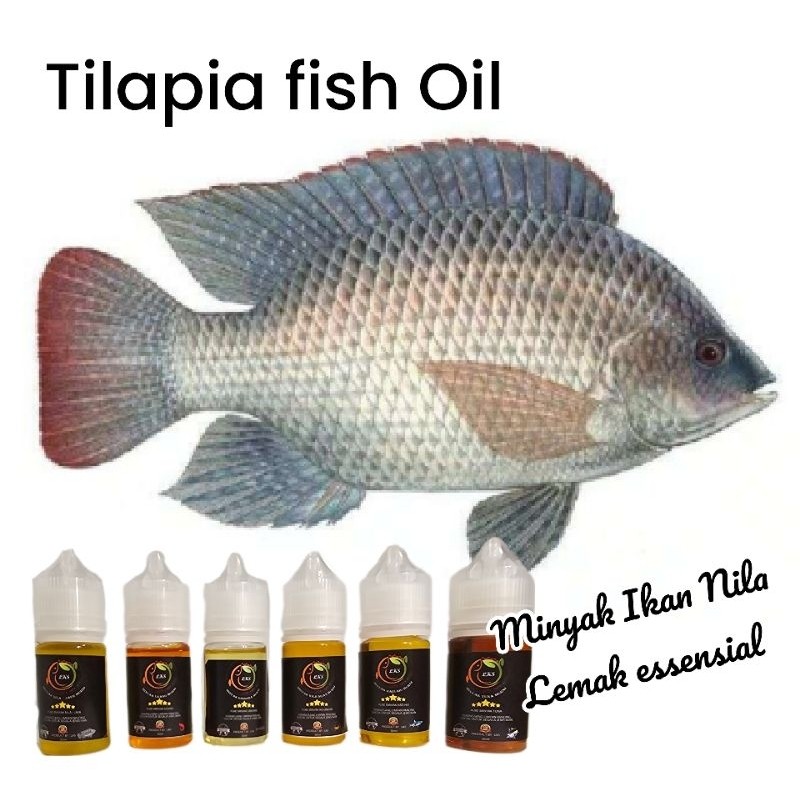 

Minyak Ikan Nila Mujaer / Tilapia Fish Oil