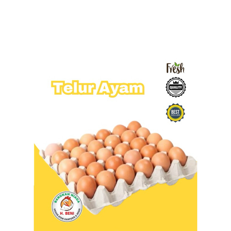 

TELUR AYAM NEGRI HARGA PER KILO
