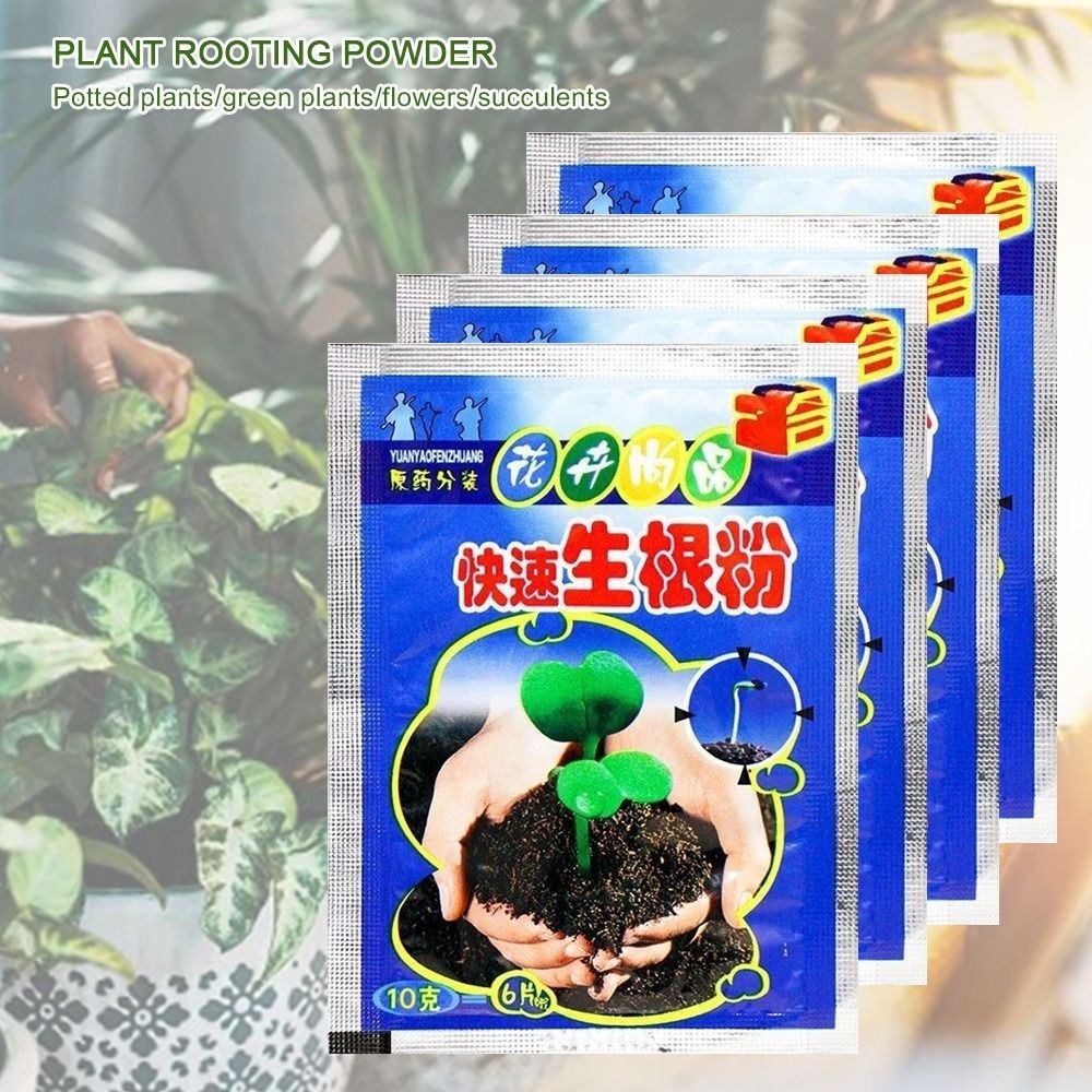 New Seedling Plant Growth Powder Bonsai Tree Cutting Rooting Hormones Rooting Powder Fungicide Plant