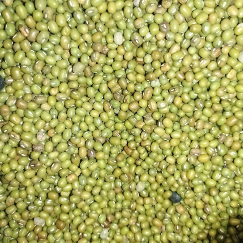 

Kacang Hijau 250gr - AMR