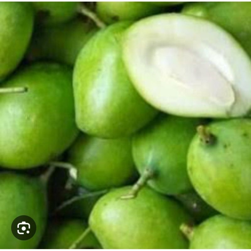 

PROMO AMBYAR Mangga Muda isi 1kg TERBAIK