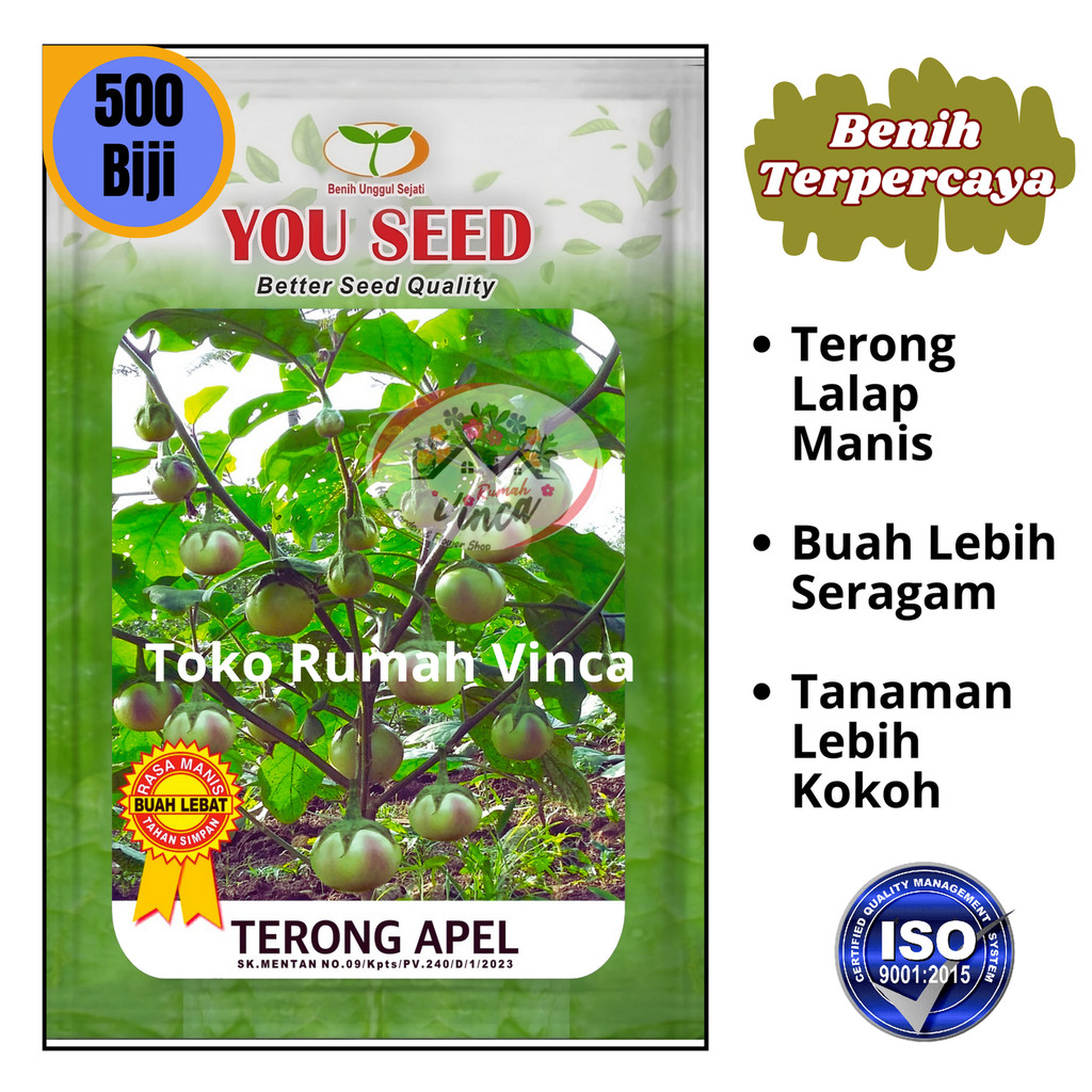 Benih Bibit Terong Lalap TERONG APEL Cap You seed Bibit Terong Manggis