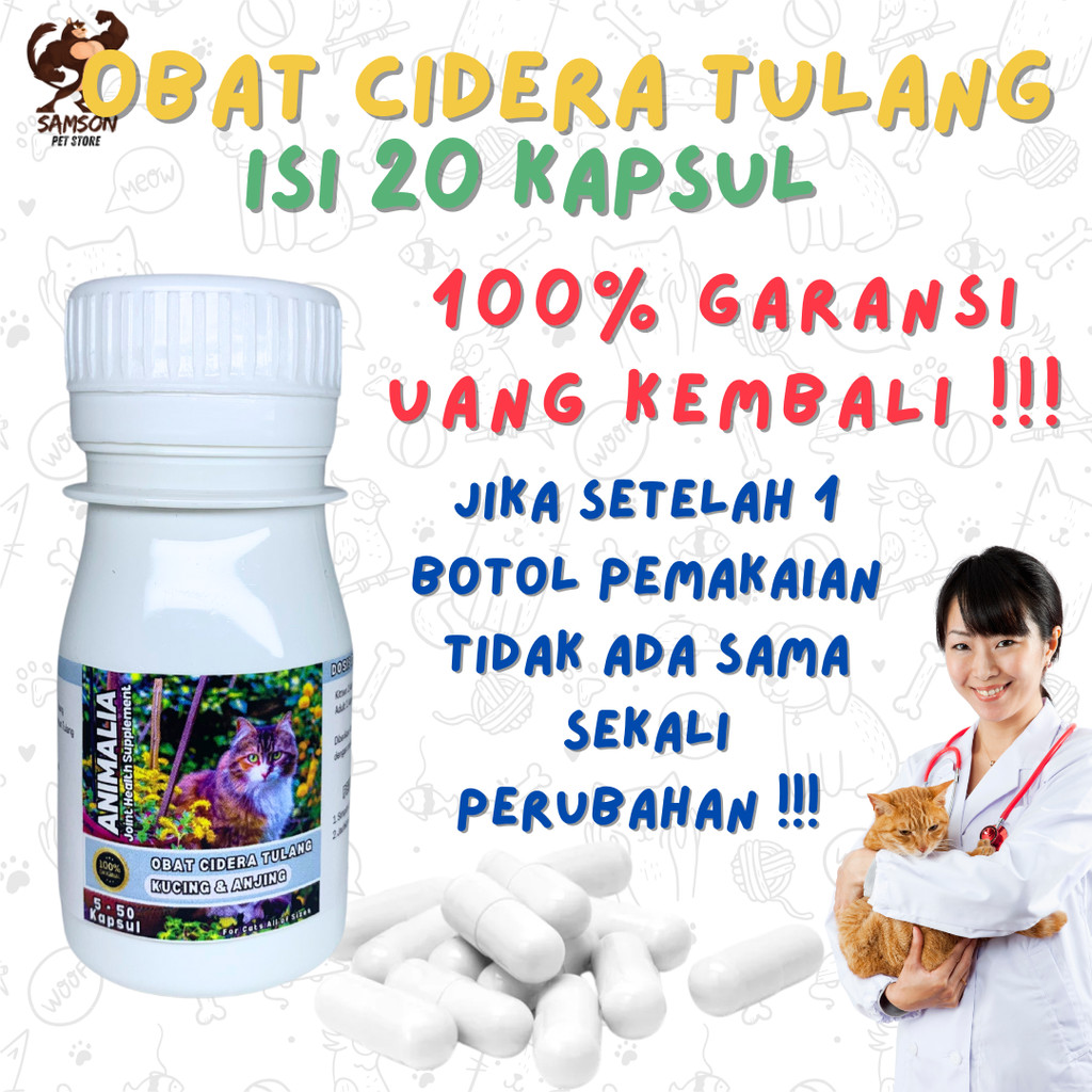 VITAMIN OBAT KUCING LUMPUH PENGUAT TULANG CEDERA TULANG