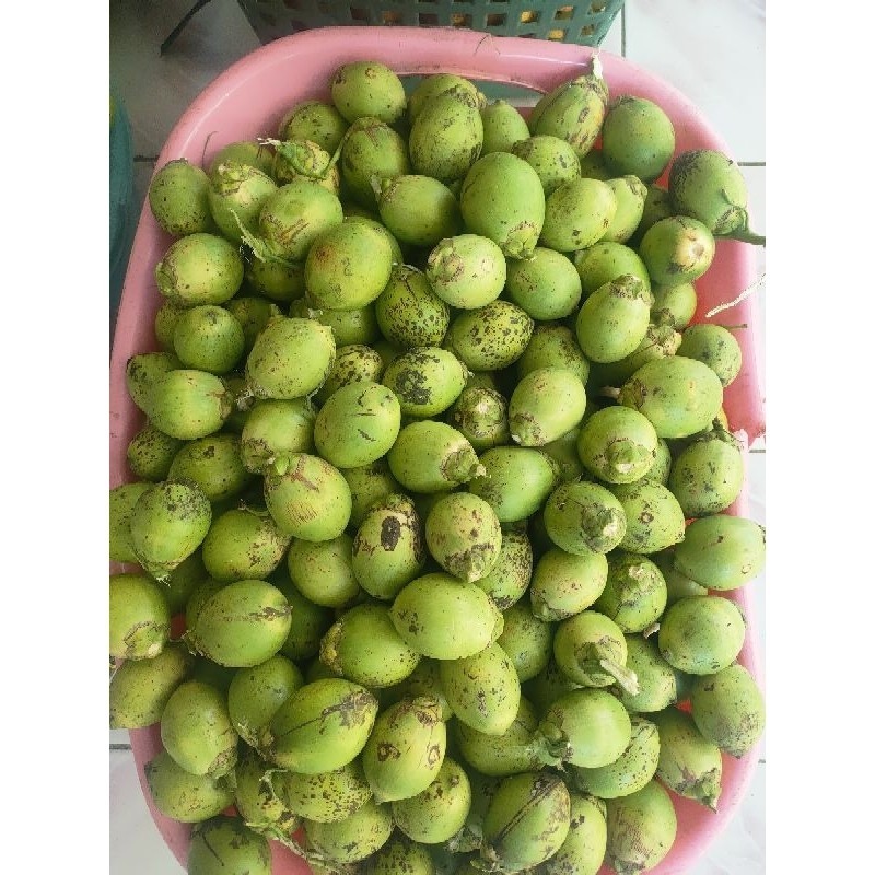 

BUAH PINANG MUDA JAMBE WANGI 1KG