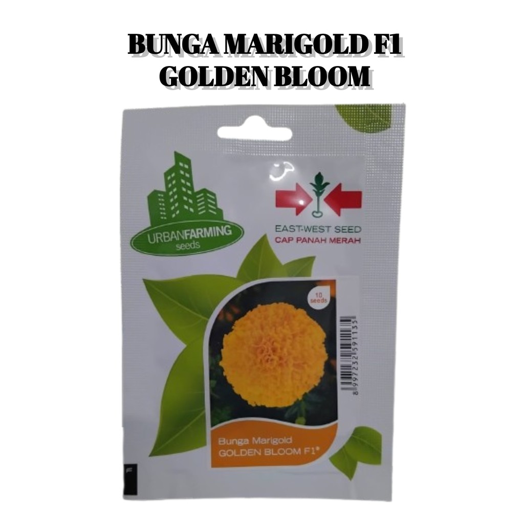 Biji Bunga Marigold Orange Jingga Golden Bloom Benih Bibit Panah Merah