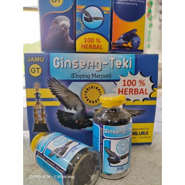 | GINSENG TEKI MERPATI 100% ORIGINAL . .