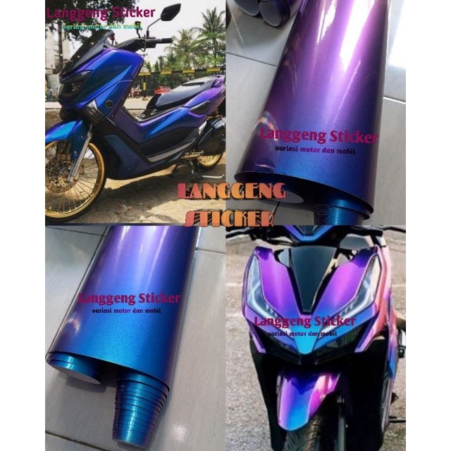 Skotlet Bunglon Aurora Sticker Scotlite Chameleon Merk Infinity