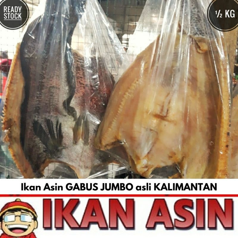 

Ikan Asin GABUS laut 500 gr
