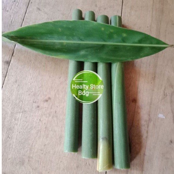 

SAHABATANI Batang lengkuas tua kondisi segar per 1 kg Promo Termurah Terlaris