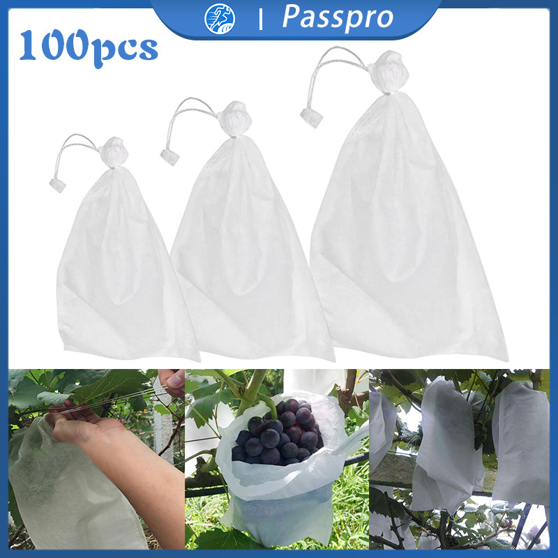 Isi 100 Fruit Cover Tembus Pandang Pembungkus Buah Anggur Transparan Waterproof