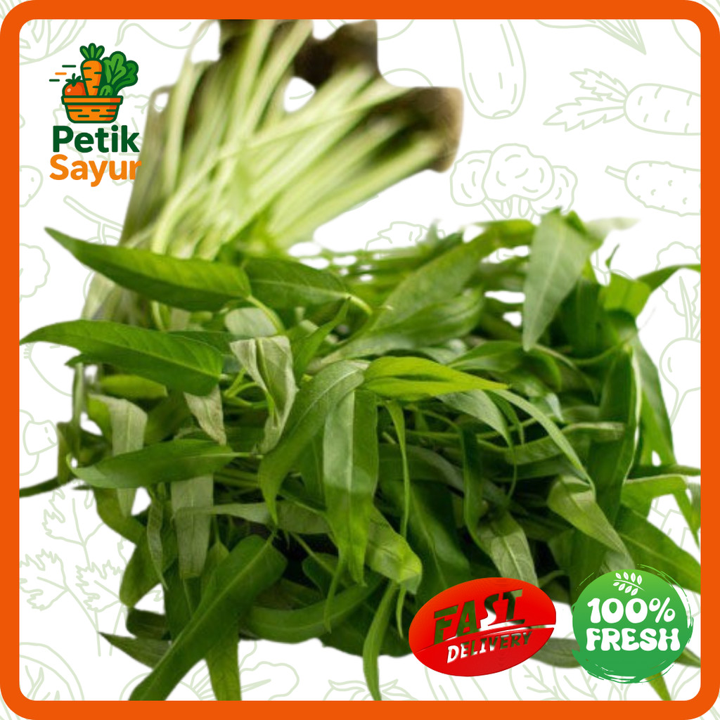 

Kangkung Hidroponik Hidroponik 200 gram PetikSayur