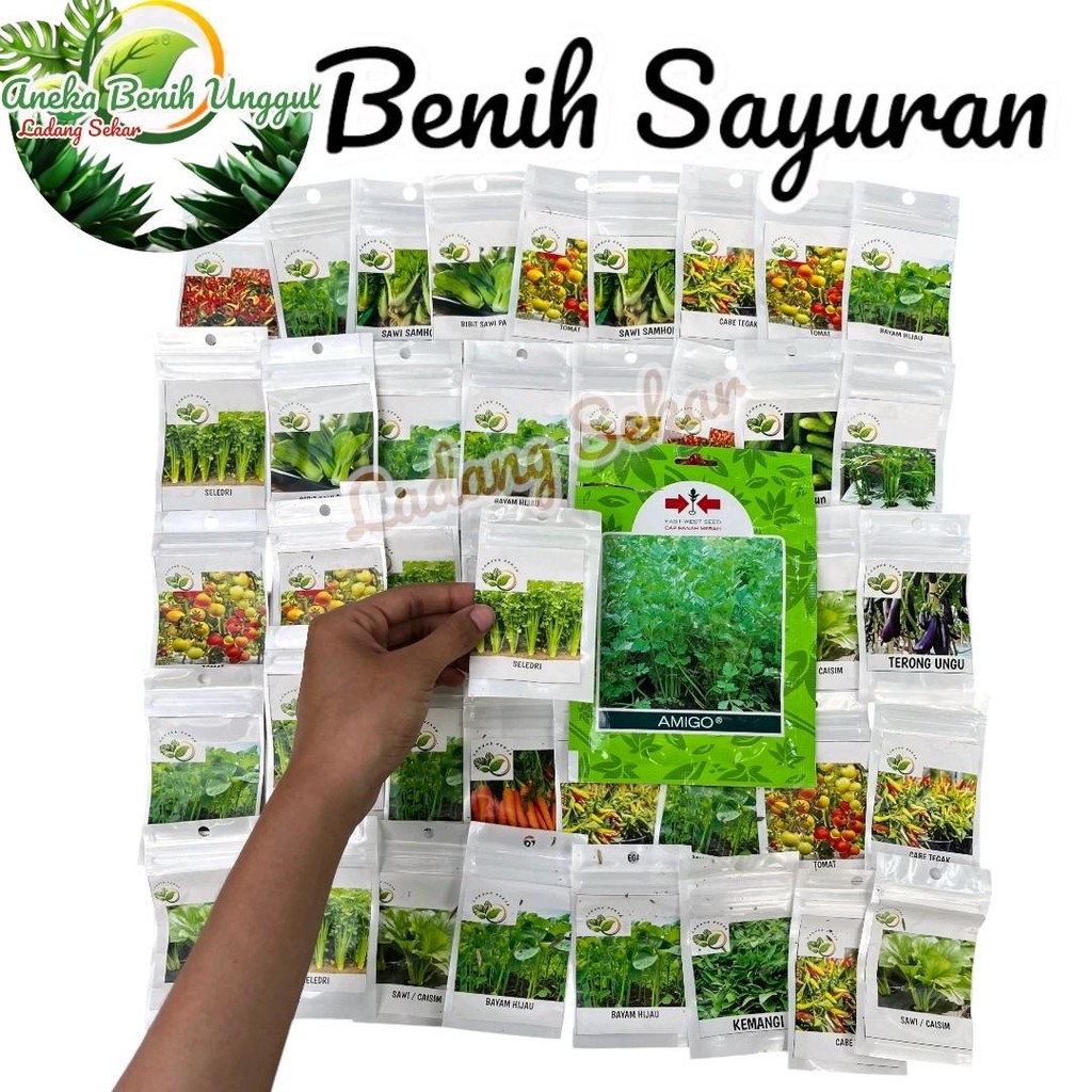 Benih Seledri -+ 400 Butir + Benih Unggulan Seledri Siap Tanam + Benih Sayuran Hidroponik + Benih Se