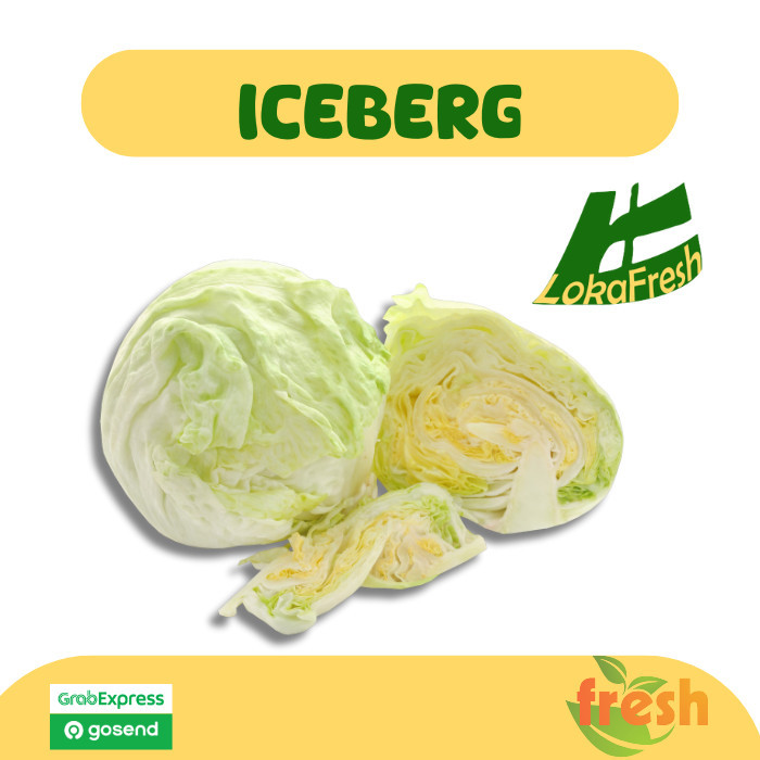 

Sayur Iceberg/ Selada Bulat Segar