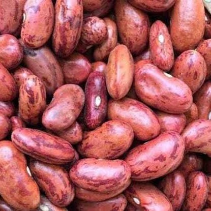 

Kacang Merah segar 100 gram - Red Kidney Bean