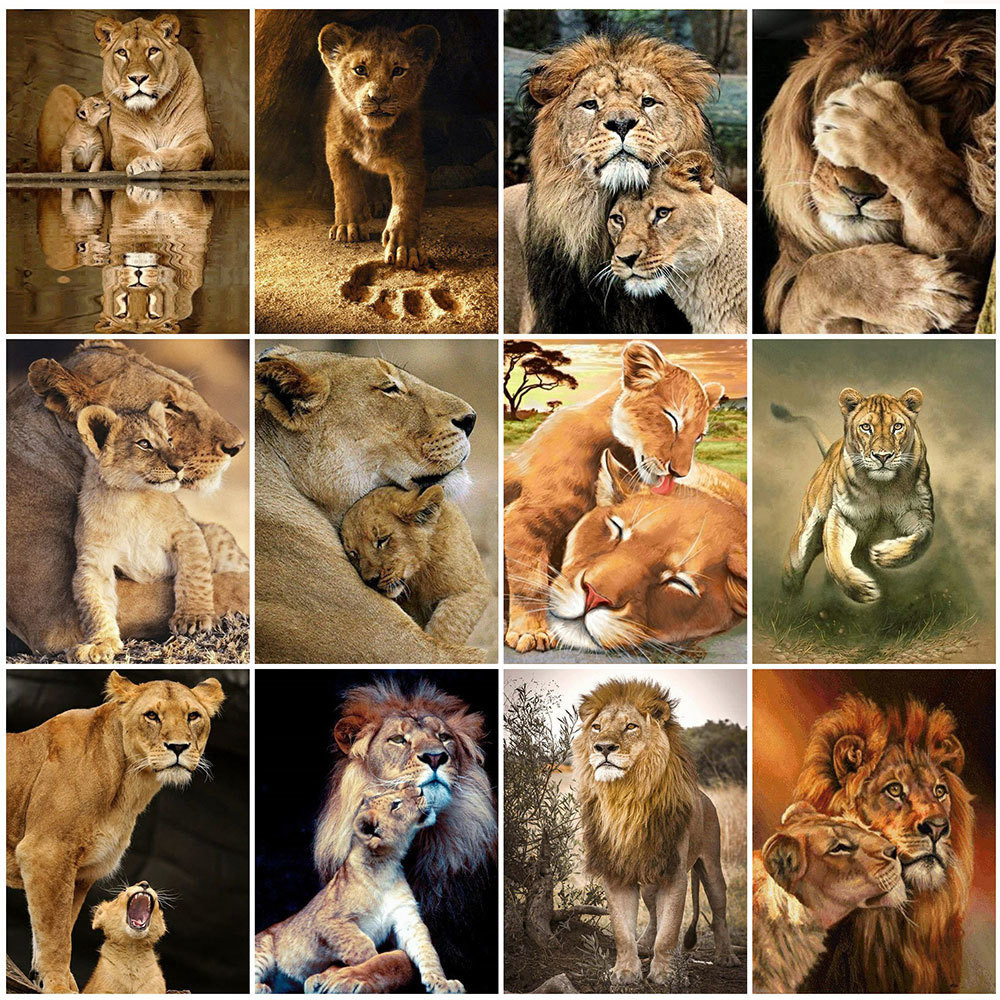 

HUACAN Oil Painting By Numbers Lion Unique Gift Home Decoration For Adults Picture By Number Animals Drawing On Canvas