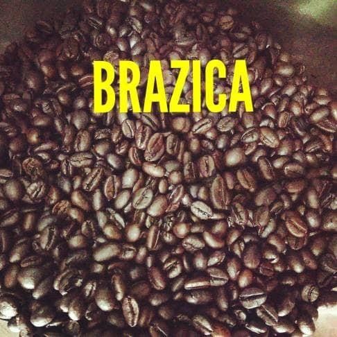 

Kopi Biji / Bubuk Robusta Lampung Merek Brazica "Gold Quality" 500 gram - Beans Utuh