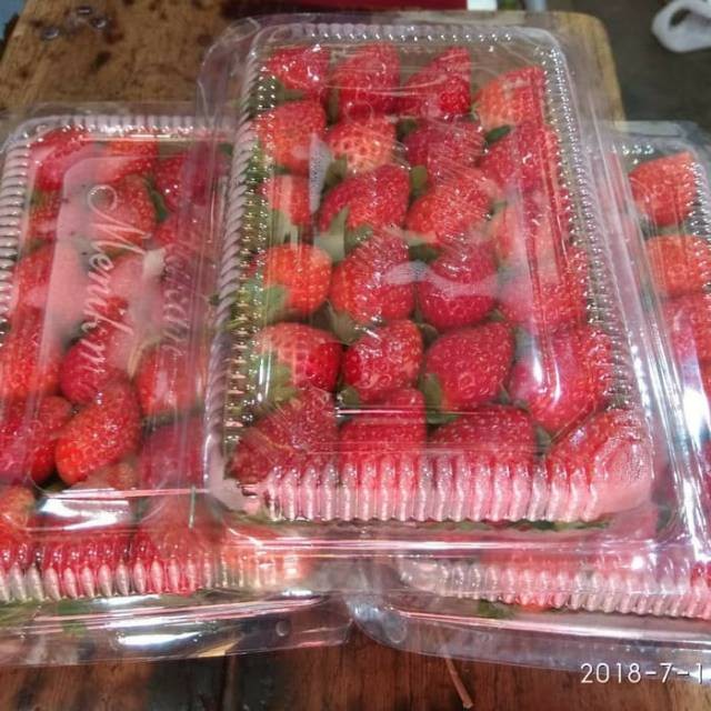 

Buah strawberry organik bandung