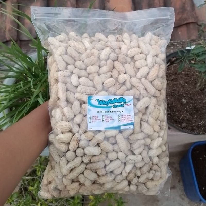 

Kacang kulit asin super 1kg kacang sangrai