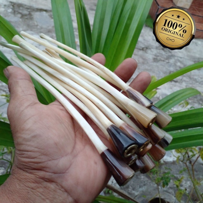 Promo once pipa tulang kalong ori