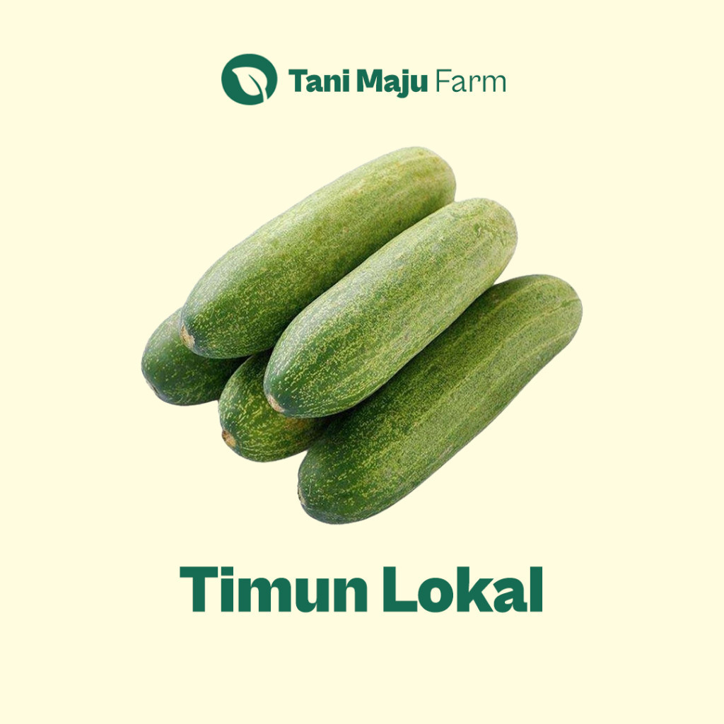 

Timun Mentimun Cucumber Fresh Organik (500 gram) - Sayuran BRKAH
