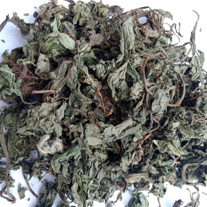 

Daun Insulin Kering - Herbal Untuk Diabetes 500gr