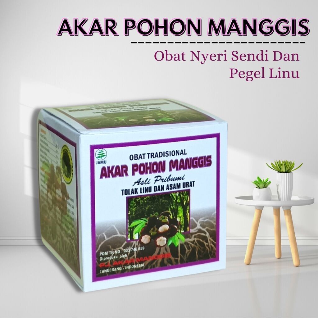 Kapsul Akar Pohon Manggis Original