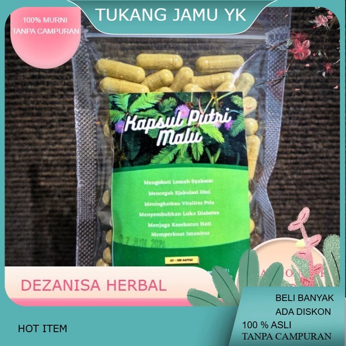 Kapsul Putri Malu isi 100 Kapsul Murah