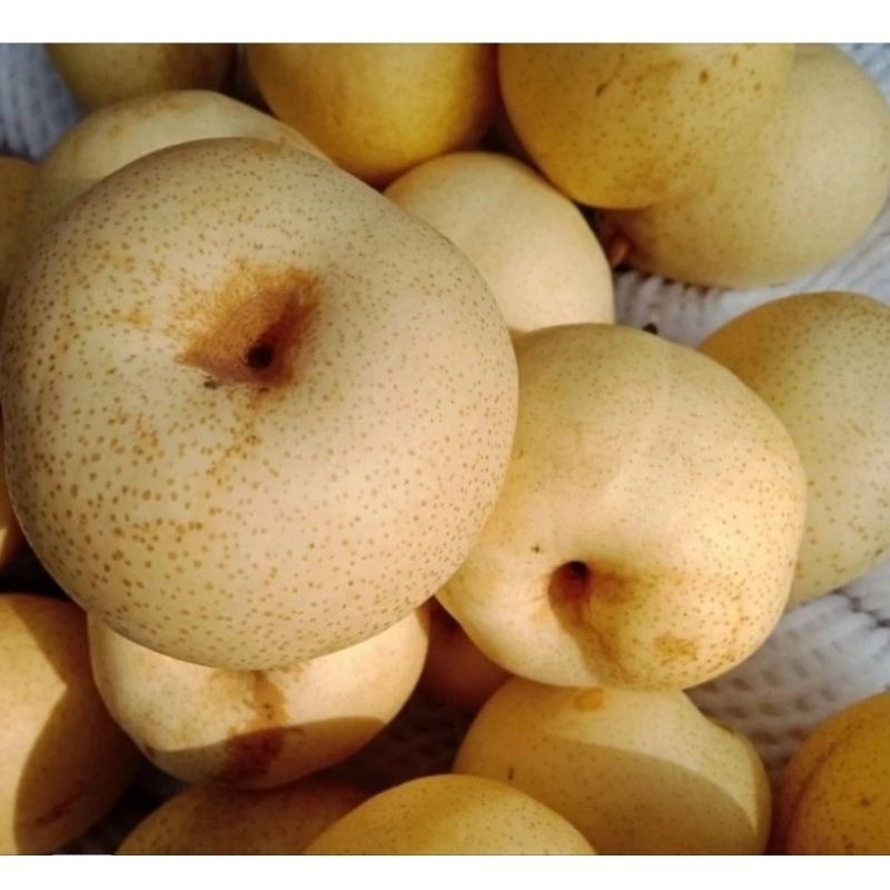 

Pir Madu Impor 400 gram fruits