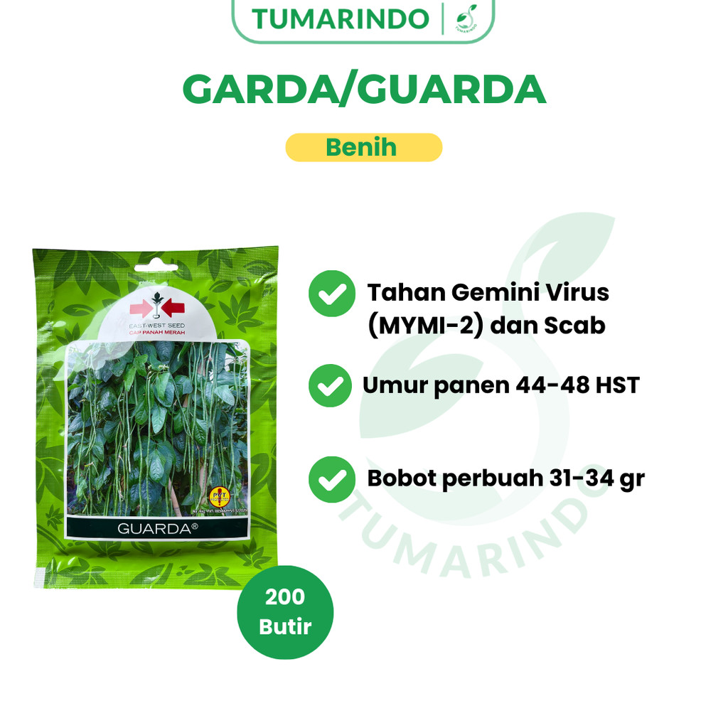 Benih Kacang Panjang Guarda (Garda) 200 Butir