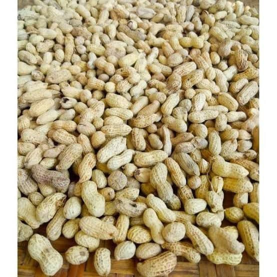 

Kacang Kulit asin gurih 500gr