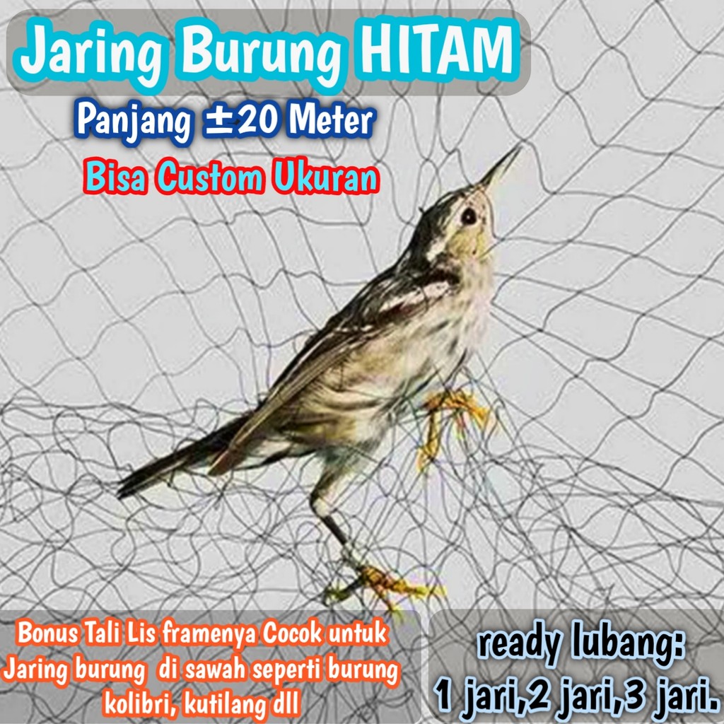 jaring burung Sawah Lubang Kecil Panjang 25 meter warna hitam