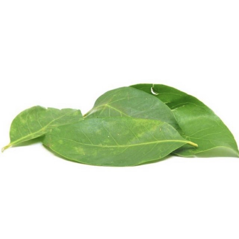 

SayurHD Daun Salam 1 Pack Bumbu Dapur NIZAM STORE ID