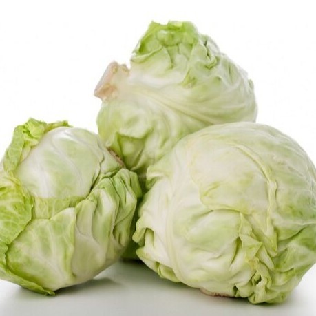 

Sayur Kol Putih Segar 1pcs - Cabbage