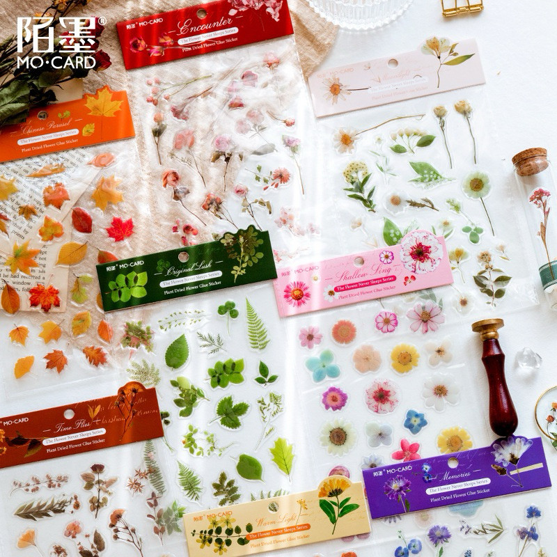 

Journamm.id Stiker lem Momo PET seri bunga tidak pernah tidur tanaman bunga kering kecil segar buku pegangan bahan dekorasi stiker DIY