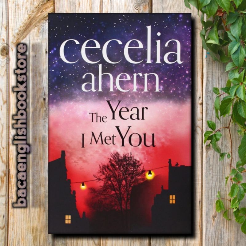 the year i met you cecelia ahern
