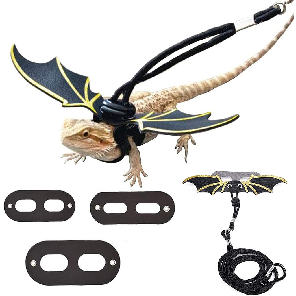 Adjustable Bearded Dragon Leash Harness set Wings Costume Clothes From Baby To Juvenile Lizard Iguan