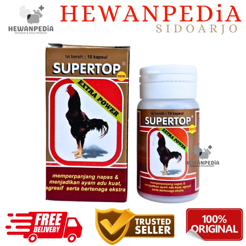 SUPER TOP 10 KAPSUL Hewanpedia - Penambah Stamina & Tenaga Ayam Jago Super Strong Ayam Aduan Hewanpe