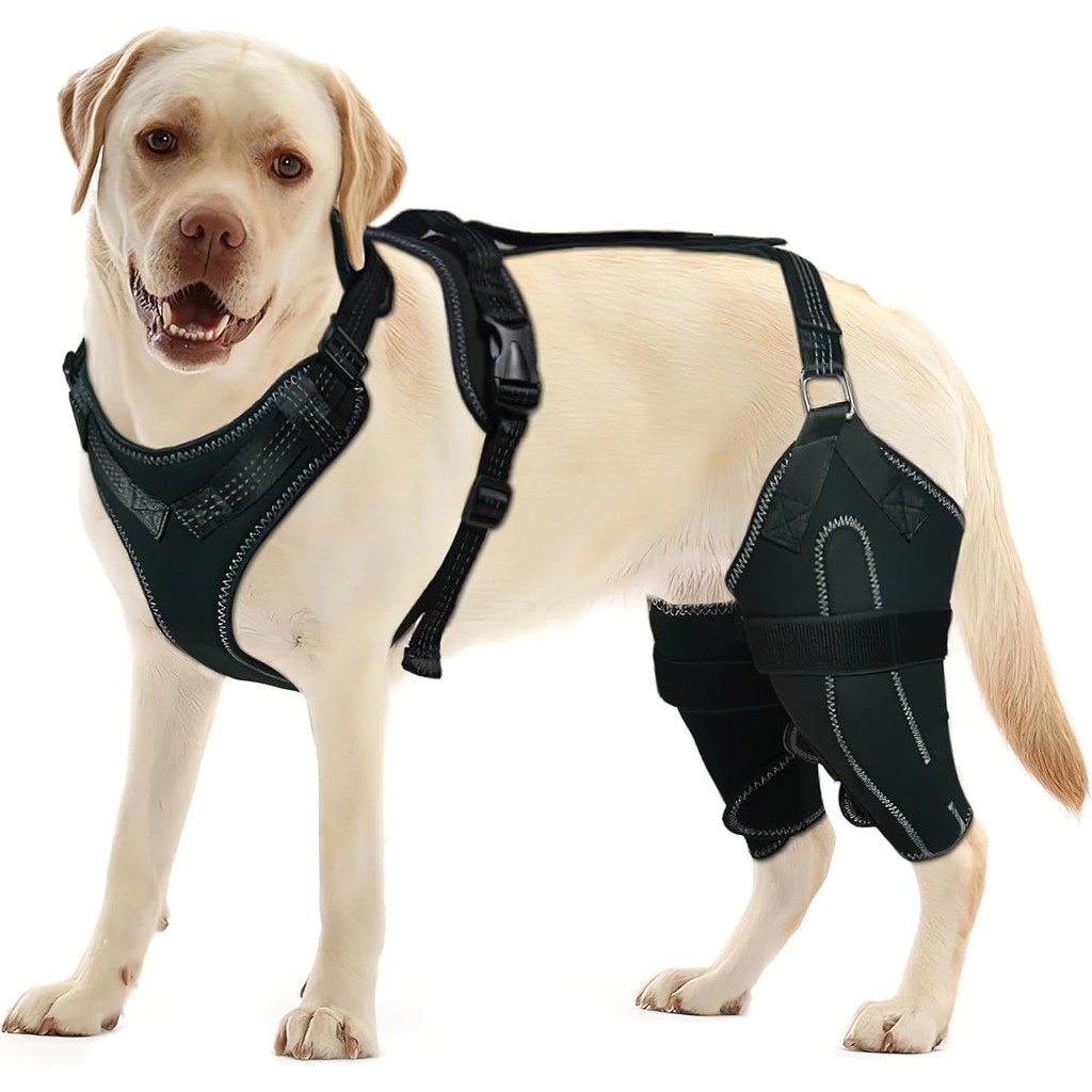 Dog Acl Knee Brace for Torn Acl Leg,Dog Knee Braces for Back Leg Warm Joint and Relieves Joint Pain,