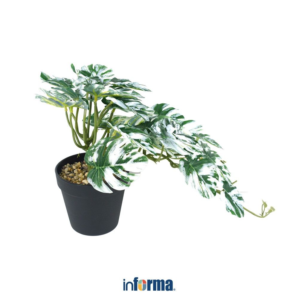 Informa Tanaman Artifisial 25 cm Monstera Albino L3 Tumbuhan Tanaman Buatan Dekorasi Plant Sintetis 
