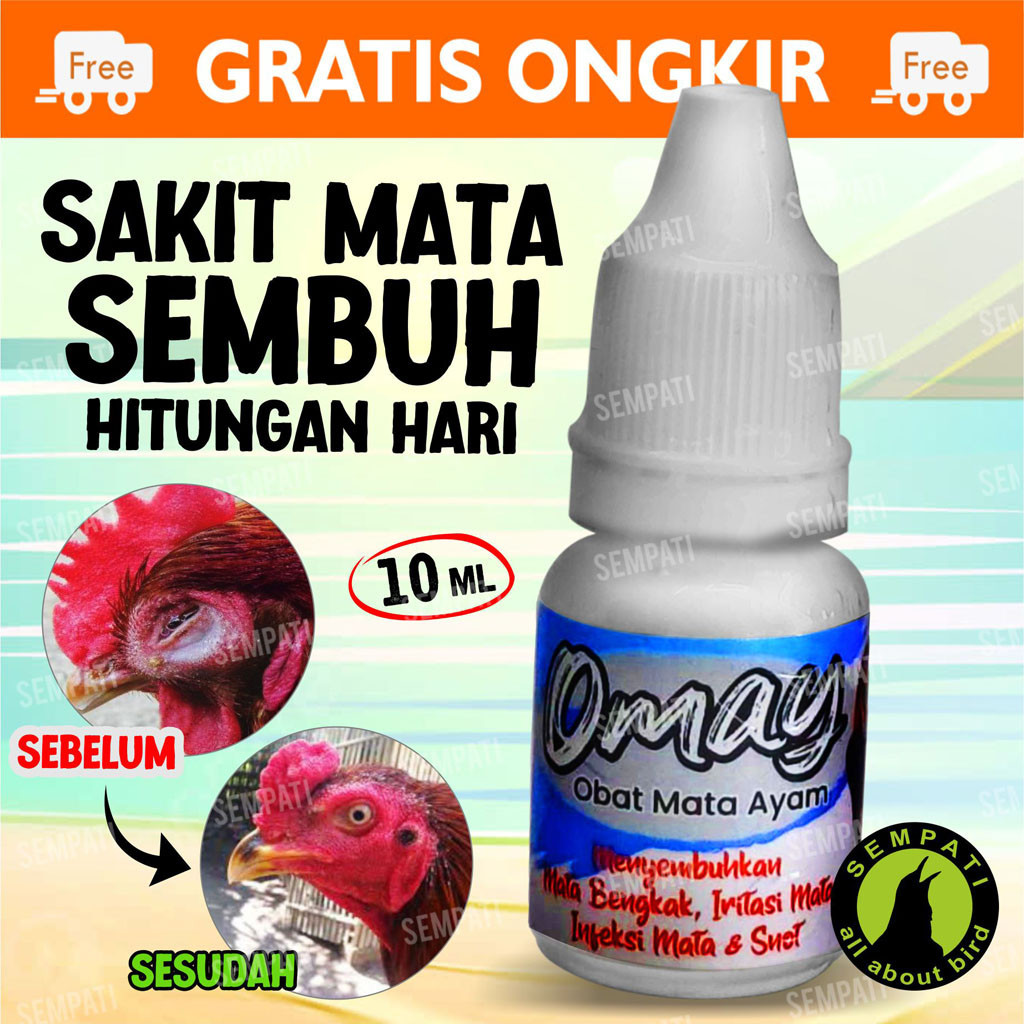 SEMPATI Omay Obat Sakit Mata Ayam 10ml Obat Tetes Mata Ayam Jago Laga Aduan Petarung Jantan Bangkok 
