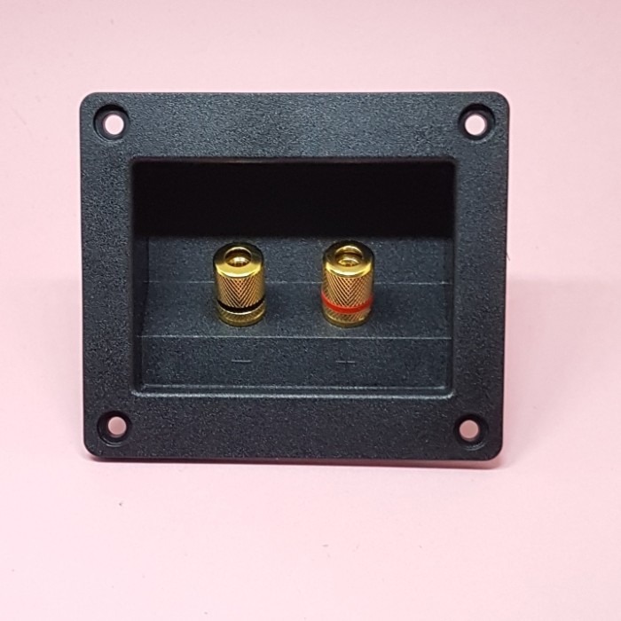 Gold Plated Acoustic Speaker Terminal. Terminal Salon