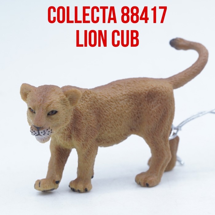 Collecta 88417 Lion Cub Africa Panthera Leo Anak Singa Afrika Mainan Figure Binatang Miniature Hewan