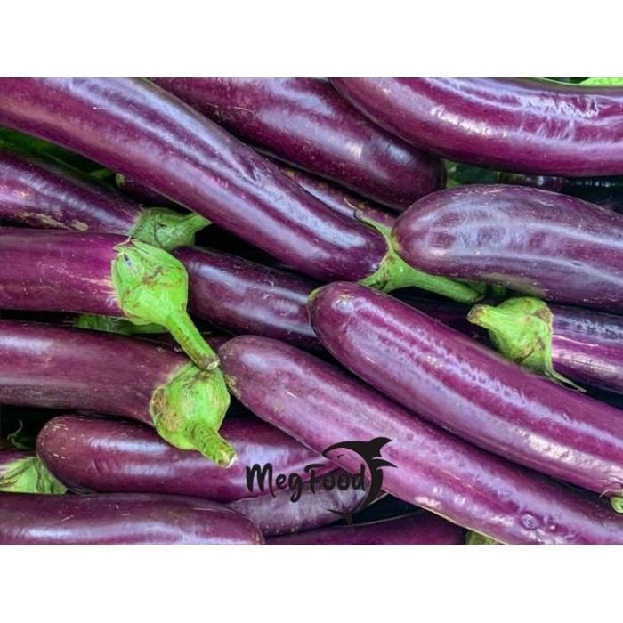 

Terong Ungu Segar / Fresh Purple Eggplant - 250 gram