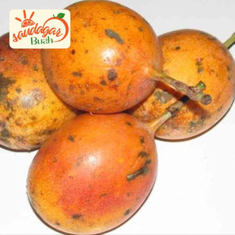 

BUAH MARKISAH MEDAN MANIS ud buah tiga saudara