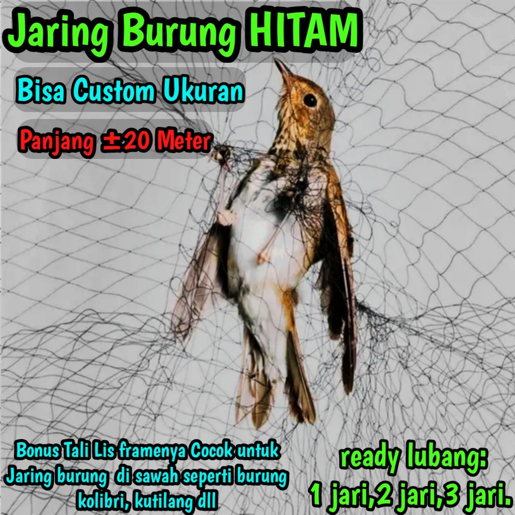 jaring burung Sawah Lubang Kecil Panjang 25 meter warna hitam
