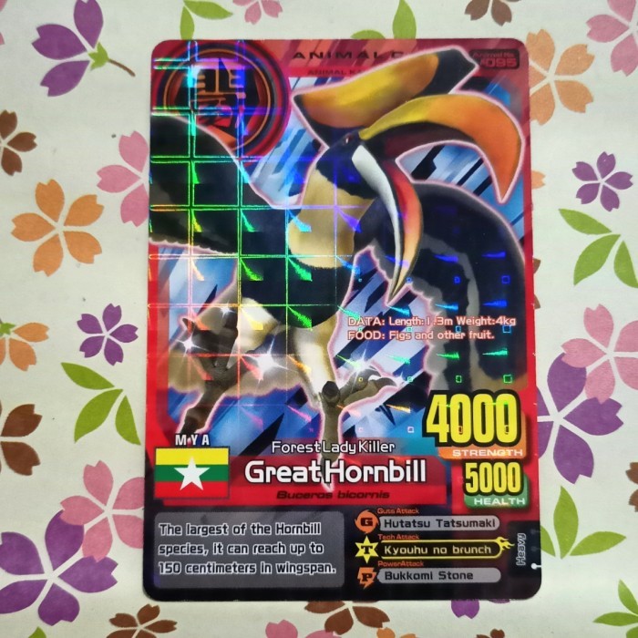Animal kaiser normal great hornbill evo 1