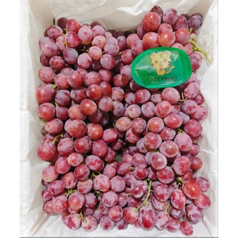 

Anggur Merah Impor Impor 250 gram fruits