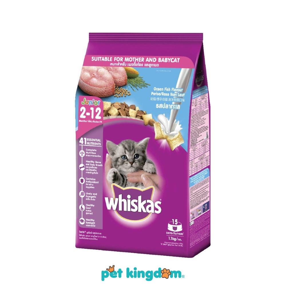 Pet Kingdom Whiskas 1.1 kg Makanan Kucing Kering Junior Ocean Fish Pakan Kucing Cat Food Kebutuhan H